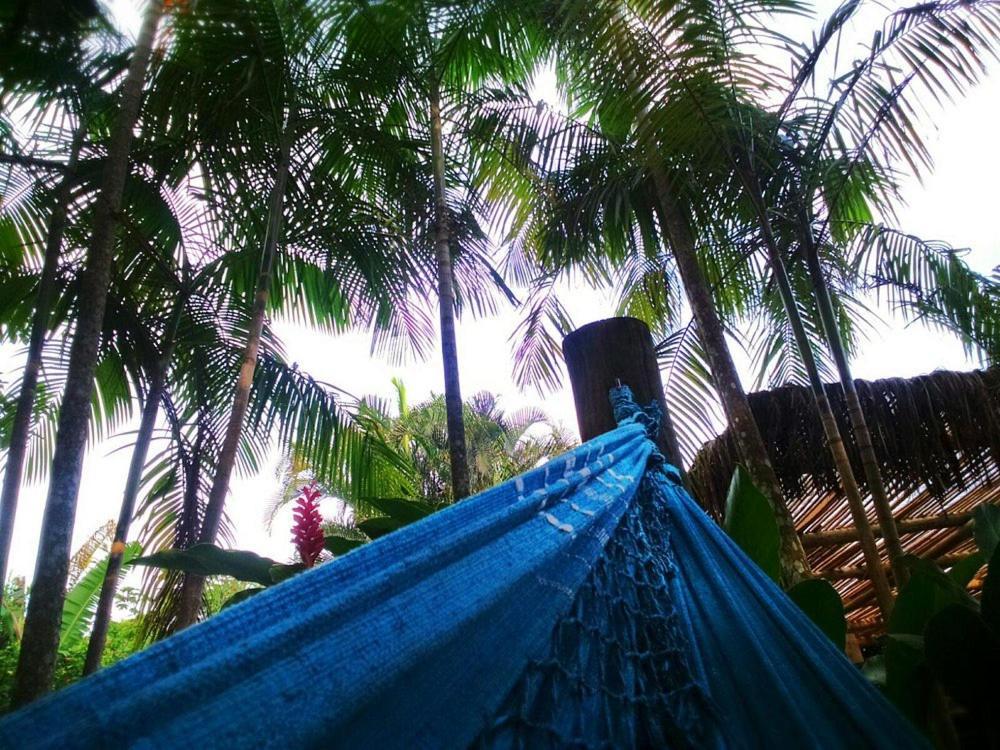 Sumatra Ecolodge Sao Sebastiao  Luaran gambar