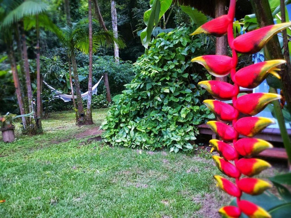 Sumatra Ecolodge Sao Sebastiao  Luaran gambar